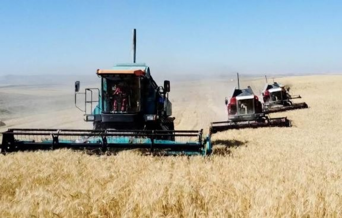 ТҮРКІСТАН ОБЛЫСЫ: АУЫЛШАРУАШЫЛЫҒЫ ӨНІМДЕРІНІҢ ҮЛЕСІН АРТТЫРУ МАҢЫЗДЫ