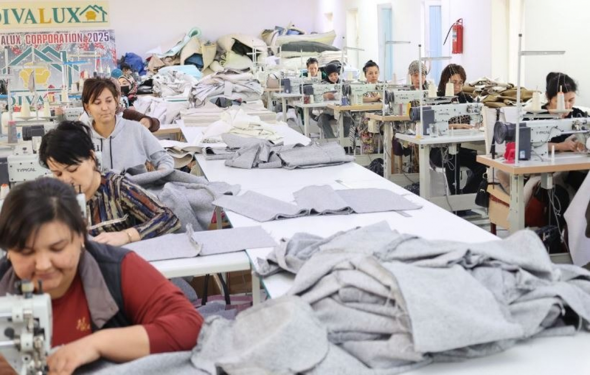 ТҮРКІСТАН ОБЛЫСЫ: КӘСІПКЕРЛІК ҚАРҚЫН АЛУДА