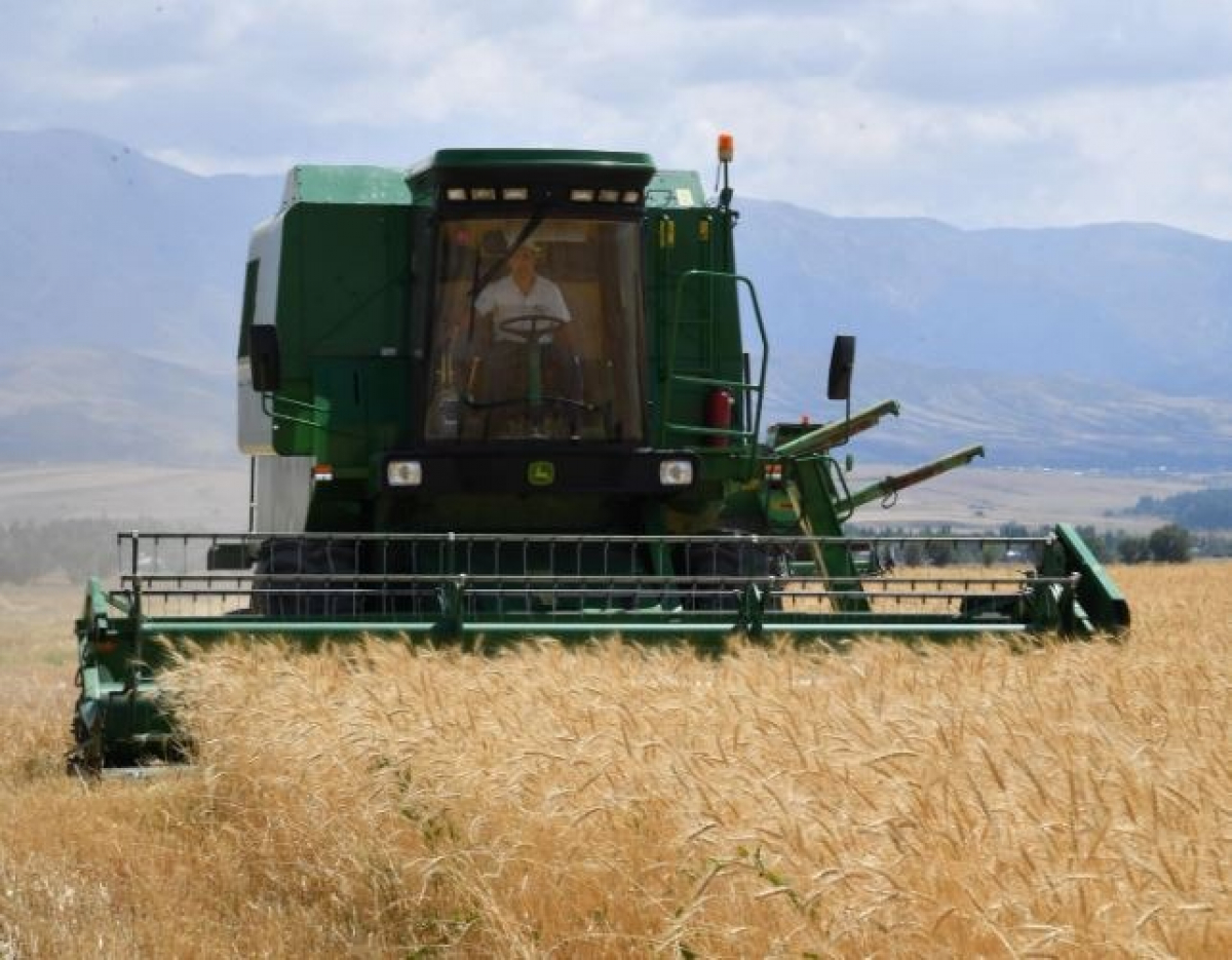 ТҮРКІСТАН ОБЛЫСЫ: АГРАРЛЫҚ СЕКТОРДА ЖАҢА НӘТИЖЕЛЕРГЕ ҚОЛ ЖЕТКІЗДІ