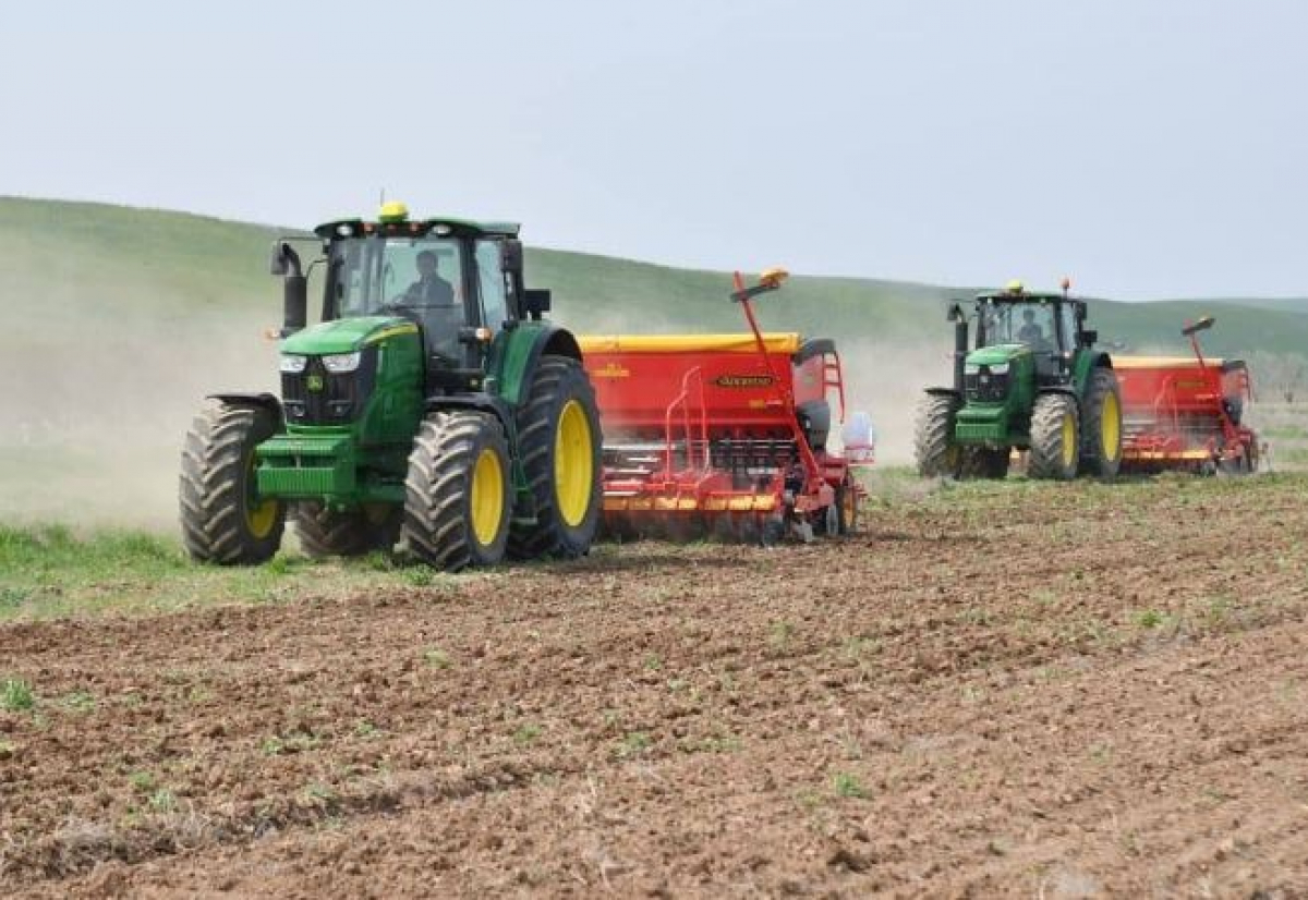 ТҮРКІСТАН ОБЛЫСЫ: ЕГІСТІК АЛҚАП ҰЛҒАЮДА