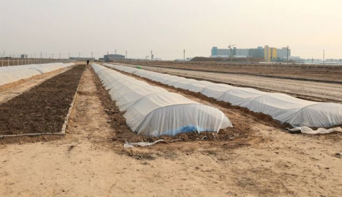 ТҮРКІСТАН ОБЛЫСЫ: ЖАҢА ТҰҚЫМБАҚ ІСКЕ ҚОСЫЛАДЫ