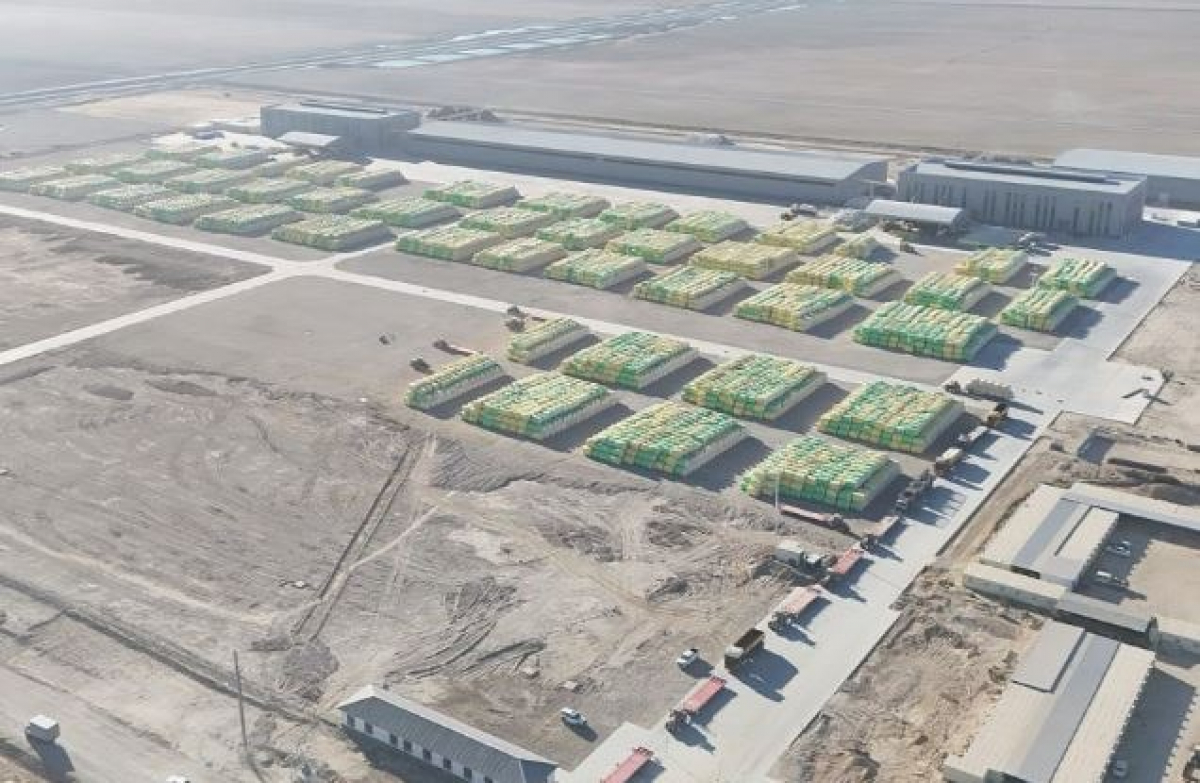 ТҮРКІСТАН ОБЛЫСЫНДА АУҚЫМДЫ КЛАСТЕР ҚҰРЫЛАДЫ