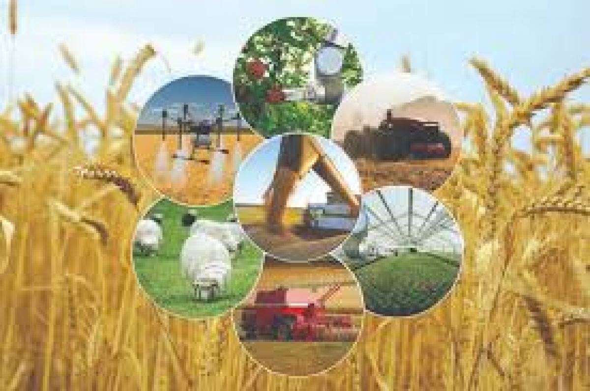 ТҮРКІСТАН ОБЛЫСЫ: АУЫЛ ШАРУАШЫЛЫҒЫ ӨНІМІН ӨНДІРУ БОЙЫНША КӨШ БАСЫНДА