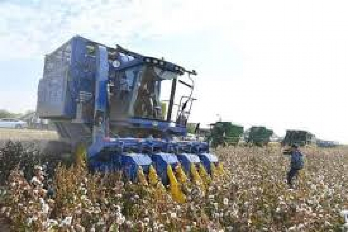 ТҮРКІСТАН ОБЛЫСЫНДА АУҚЫМДЫ КЛАСТЕР ҚҰРЫЛАДЫ