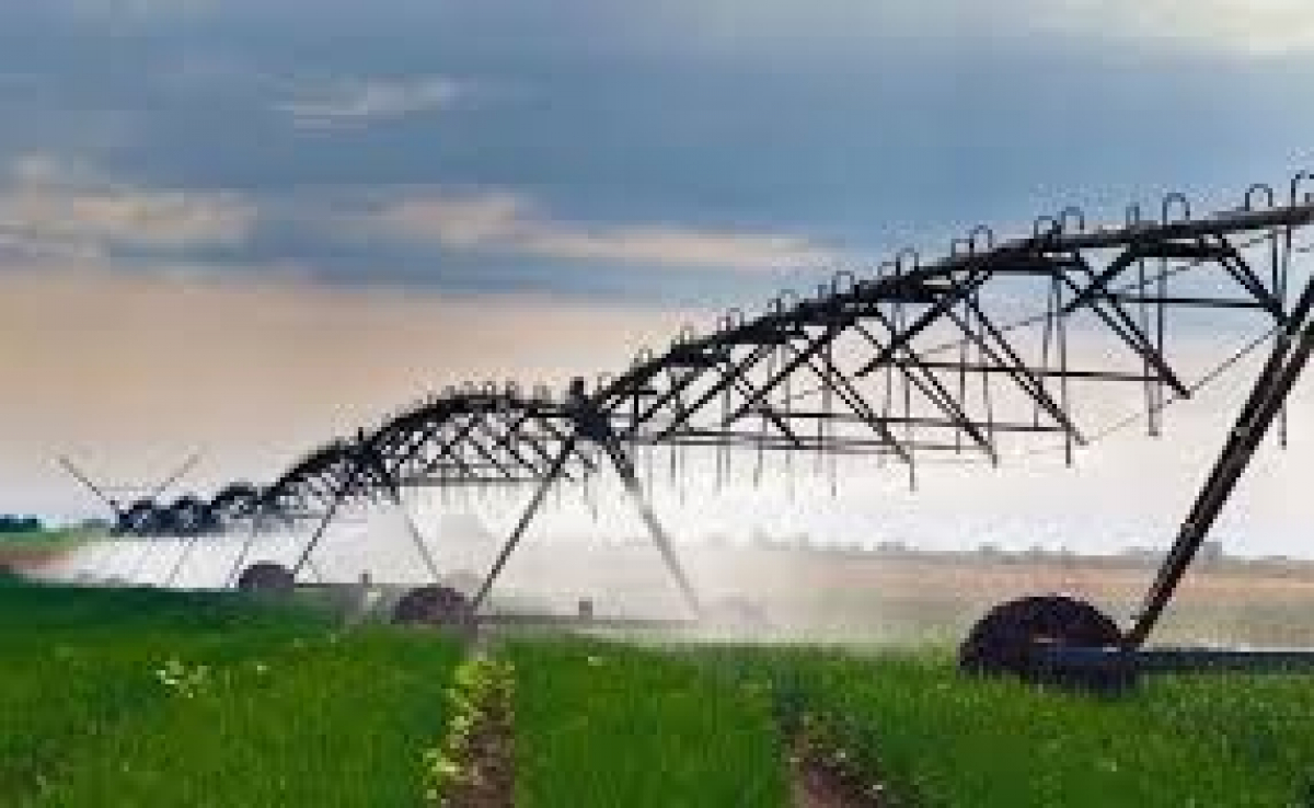 ТҮРКІСТАН ОБЛЫСЫ: СУ ҮНЕМДЕУ ТЕХНОЛОГИЯЛАРЫ ЕНГІЗІЛГЕН ЕГІС АЛҚАБЫНЫҢ АУМАҒЫ ҰЛҒАЙЫП КЕЛЕДІ