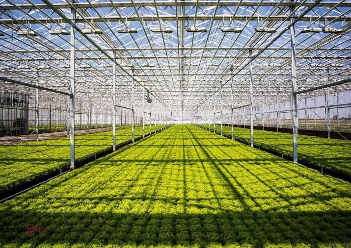 ТҮРКІСТАН ОБЛЫСЫ: ЕЛІМІЗДЕГІ ЕҢ ІРІ ӨНЕРКӘСІПТІК ЖЫЛЫЖАЙ КЕШЕНІ ІСКЕ ҚОСЫЛАДЫ