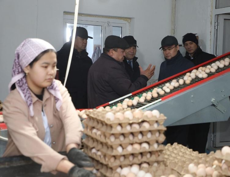 ТҮРКІСТАН ОБЛЫСЫ: ЕРАЛЫ ТОҒЖАНОВ САРЫАҒАШТАҒЫ ИНФРАҚҰРЫЛЫМДЫҚ ЖӘНЕ АГРОӨНЕРКӘСІПТІК ЖОБАЛАРМЕН ТАНЫСТЫ