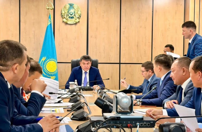 ТҮРКІСТАН ОБЛЫСЫ: ТӨЛЕБИДЕ АУҚЫМДЫ ЖОБАЛАР ЖҮЗЕГЕ АСЫП ЖАТЫР