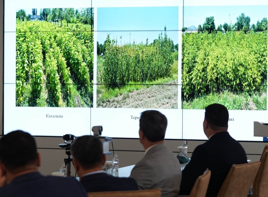 ТҮРКІСТАН ОБЛЫСЫ : ОРДАБАСЫДА ҚАҒАЗ ӨНІМДЕРІН ТЕРЕҢ ӨҢДЕЙТІН ЗАУЫТТЫҢ ҚҰРЫЛЫСЫ БАСТАЛДЫ